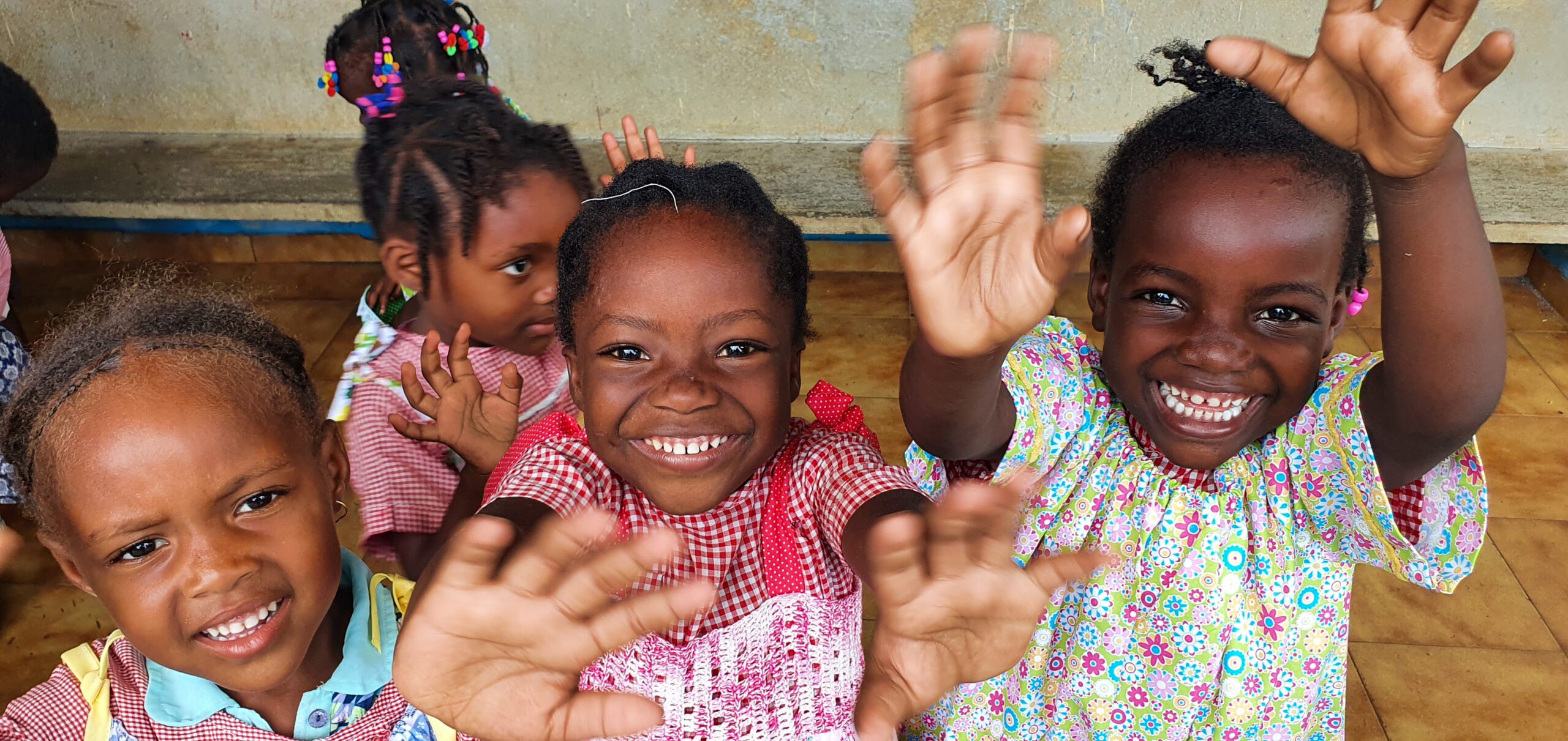 Vector Global Giving