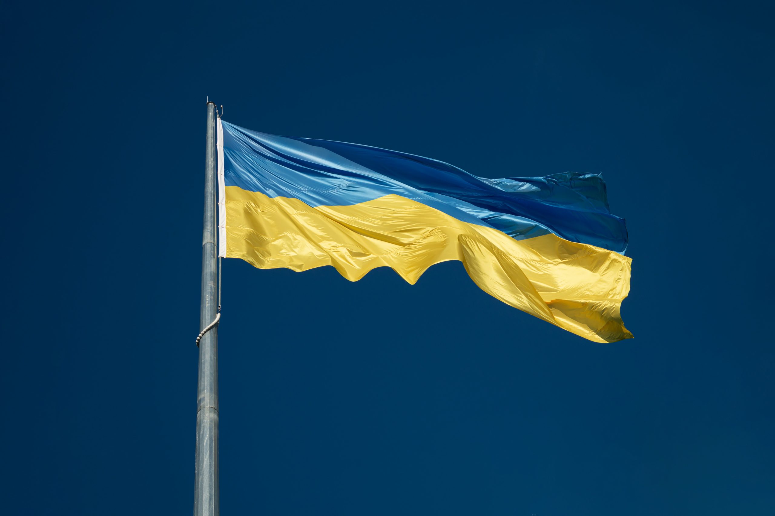 Stand with Ukraine